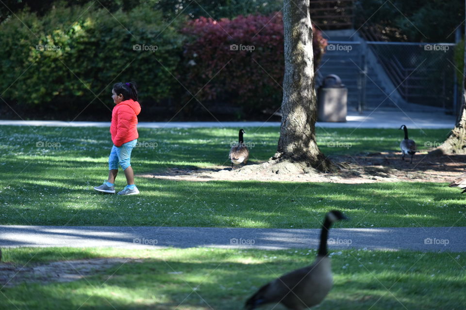 Playing in the park with ducks