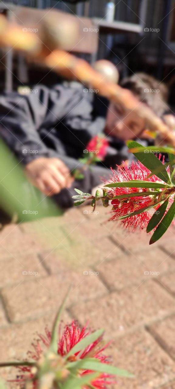See a child -through a tree