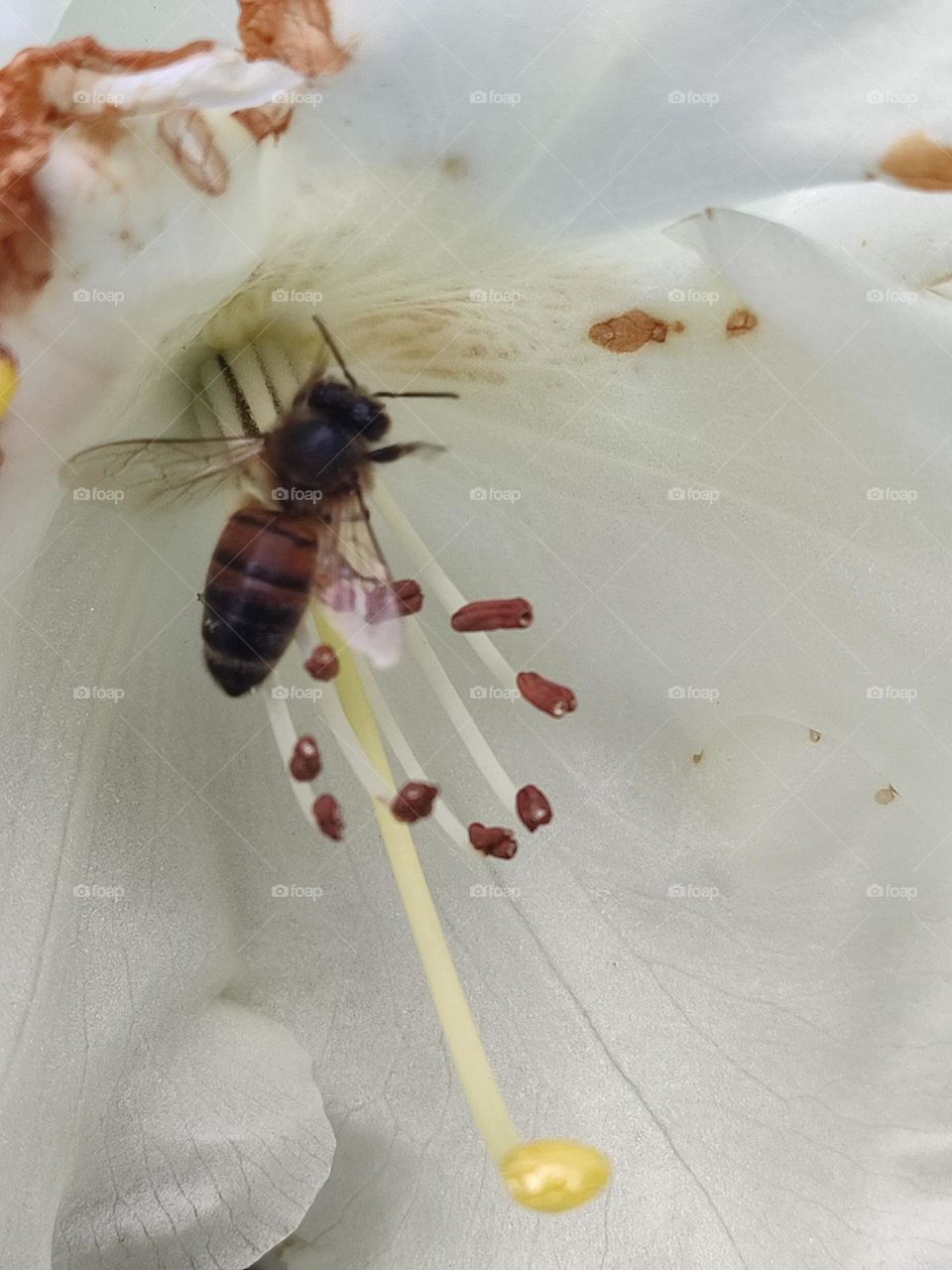 in a horticulture park