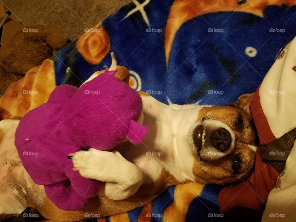 Ryder smiling with his happy hippo