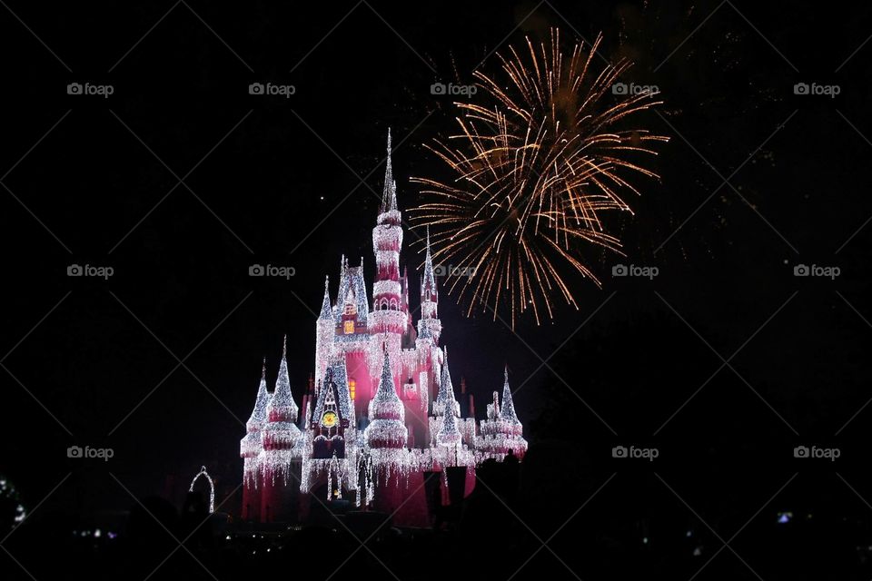 Disney world castle