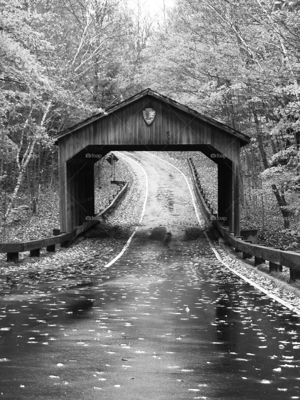 Northern Michigan 