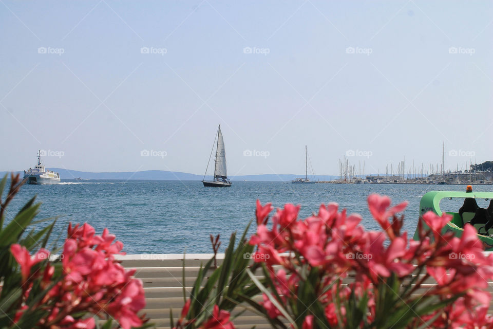 Split, Croatia 🇭🇷