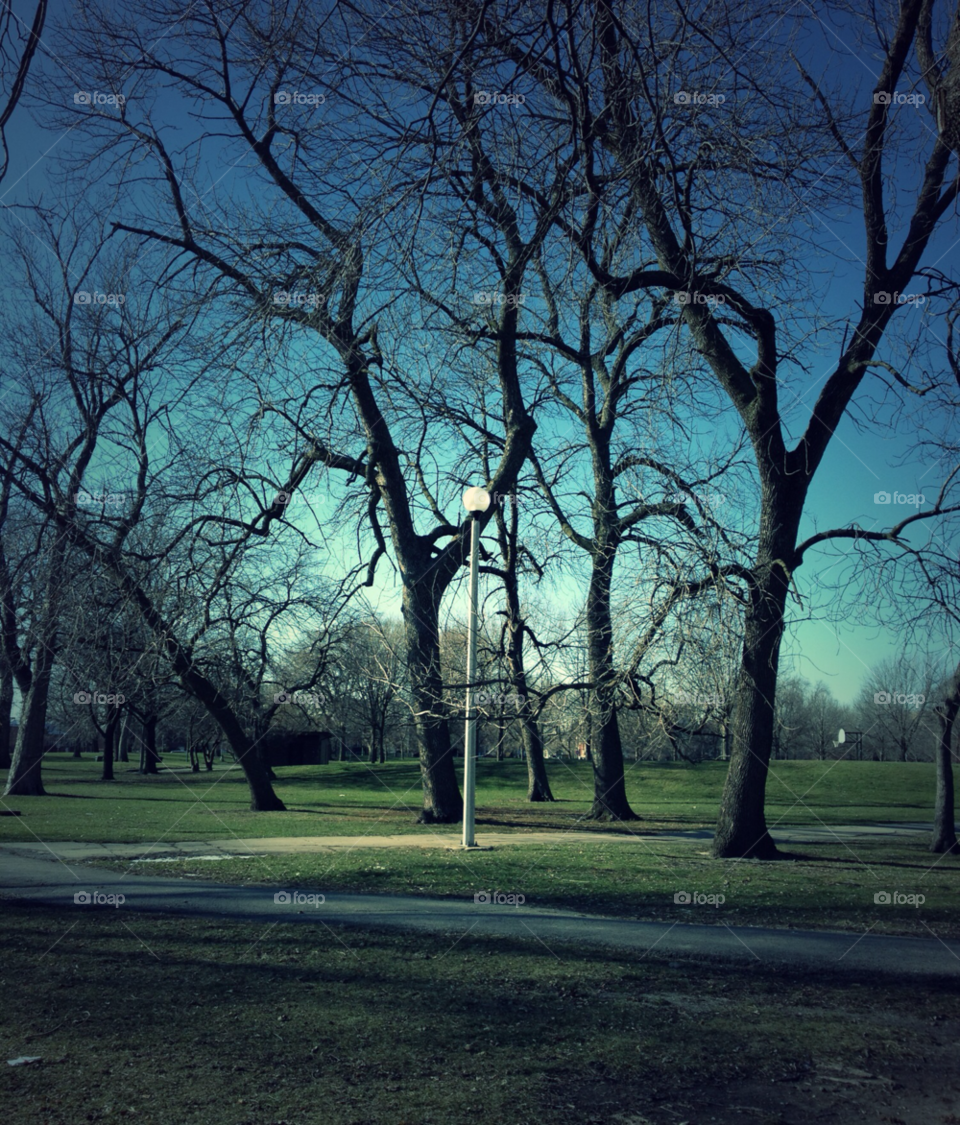 winter city light blue by squishypie