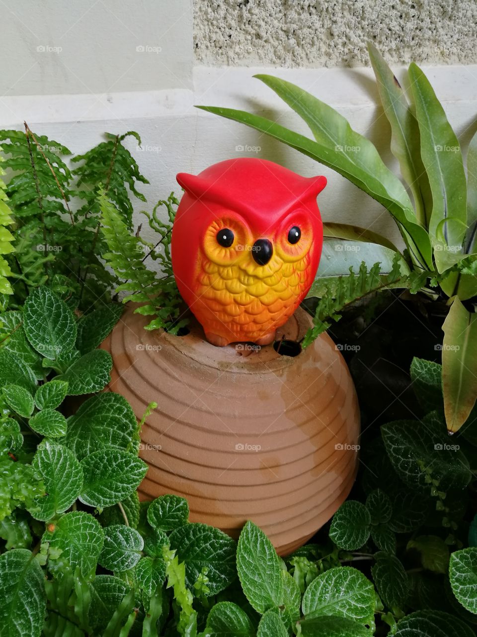 Cute red owl  ornamental  in garden
