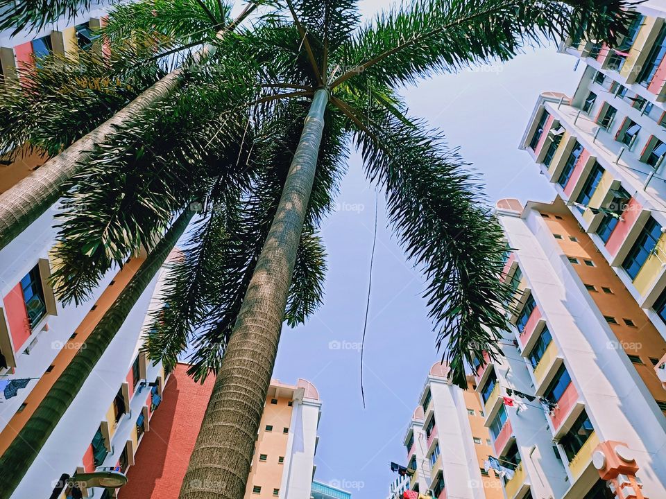 Let's dry the clothes and enjoy before summer ends