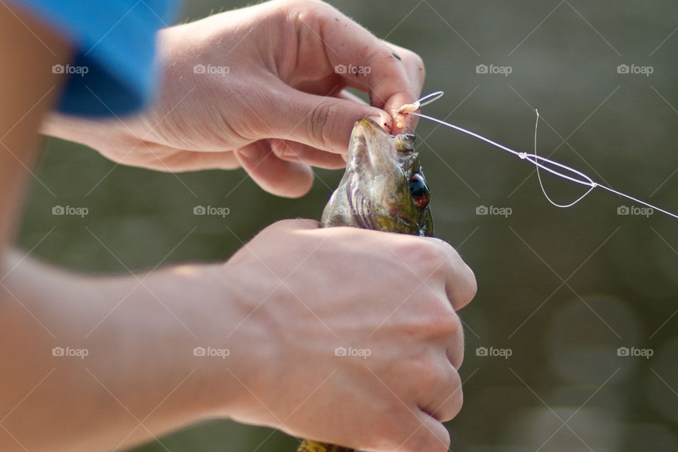 Hooked Fish