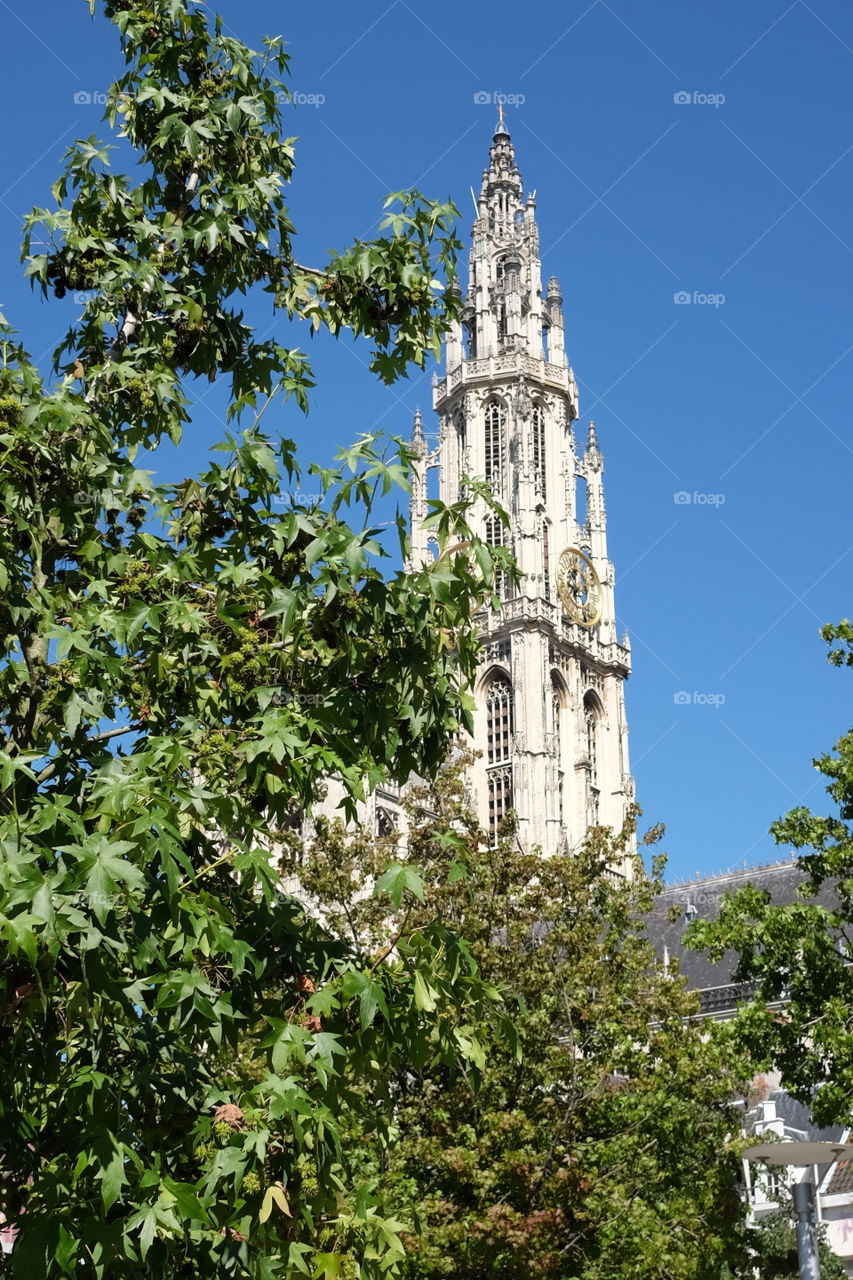 Cathedral in Antwerp