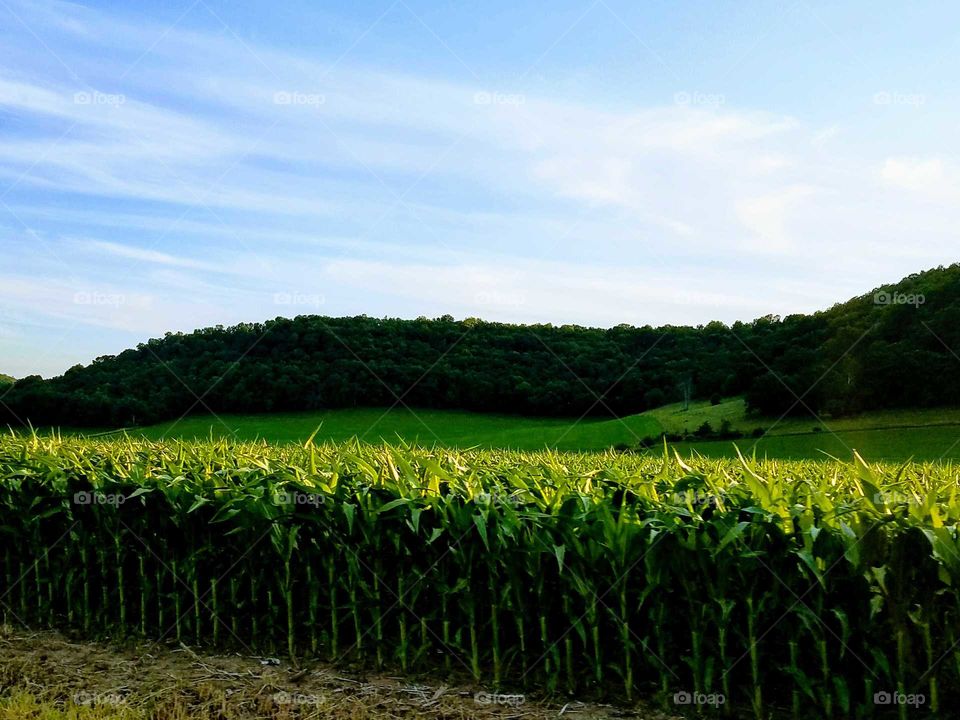 Driving the Back Roads and enjoying everything around us