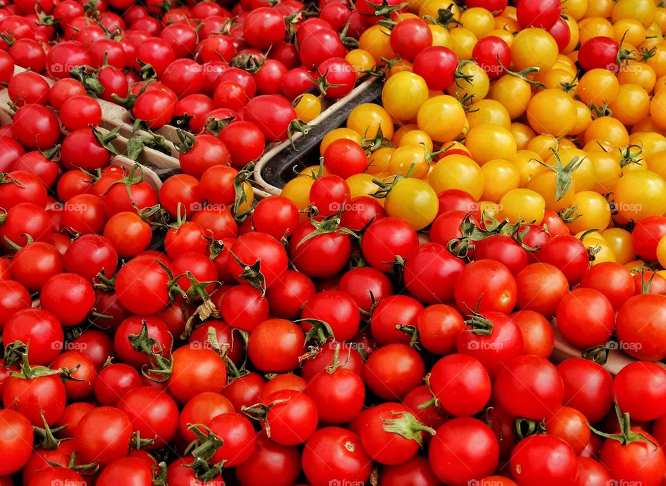 Ripe Tomatoes. Colorful Variety Of Fresh Ripe Tomatoes
