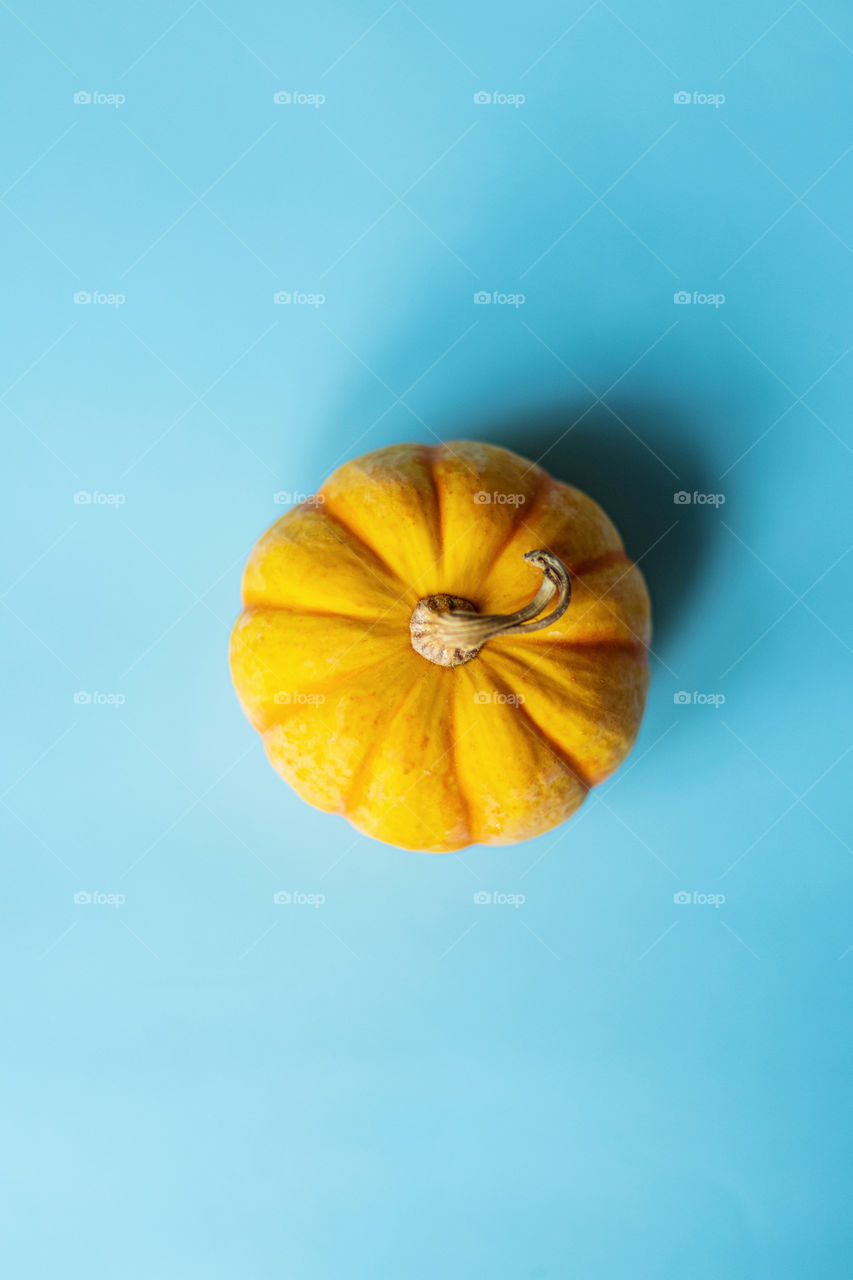 Orange pumpkin on blue background 