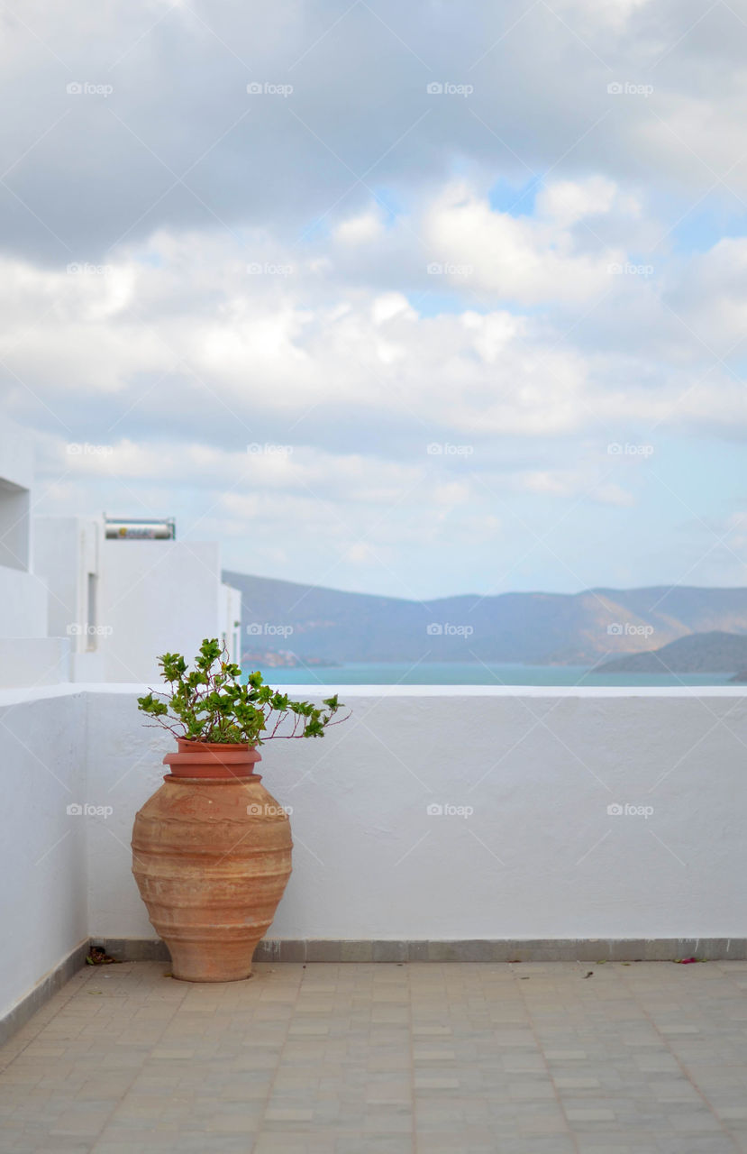 Potted plant on building terrace