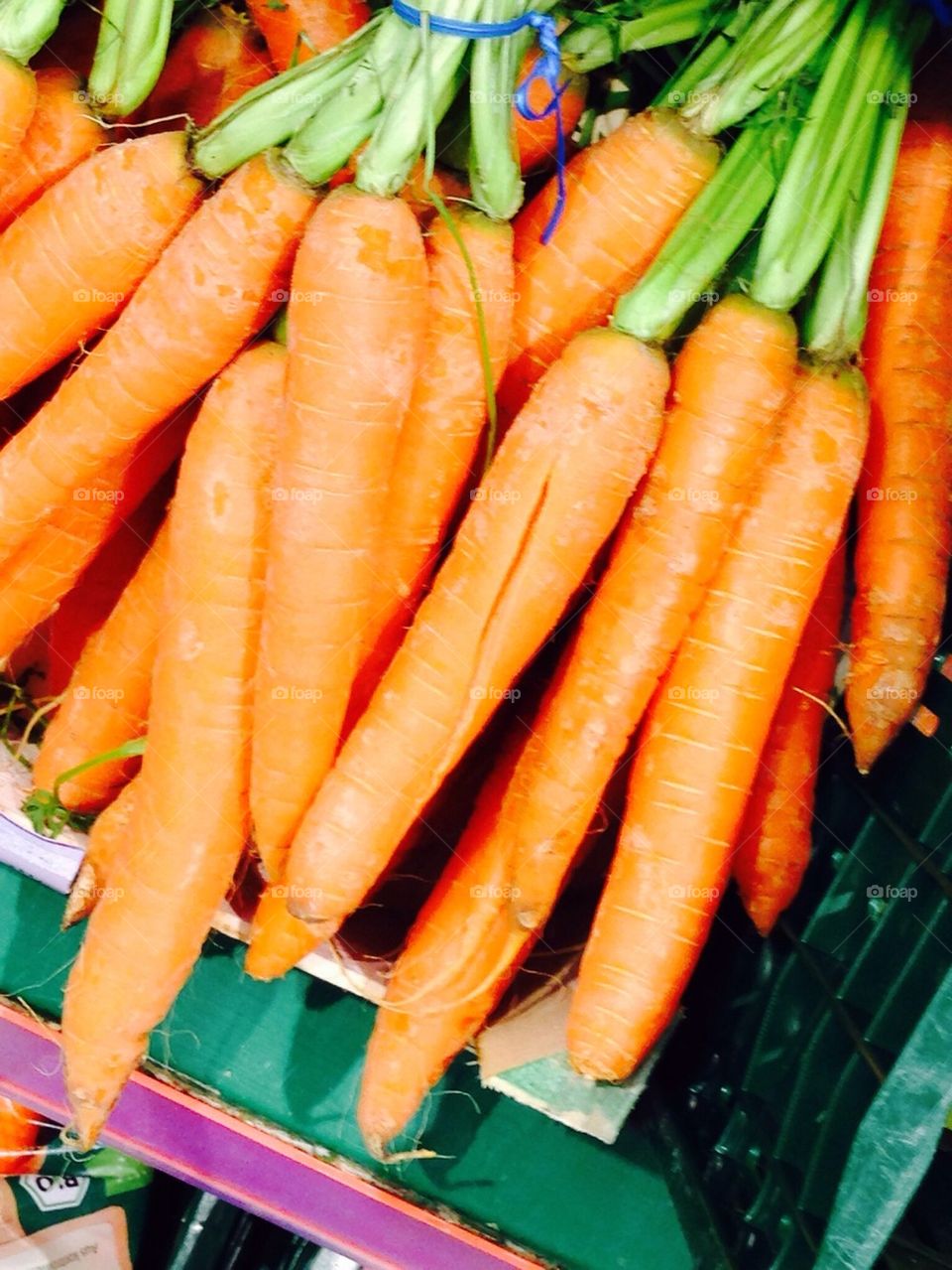 High angle view of carrots