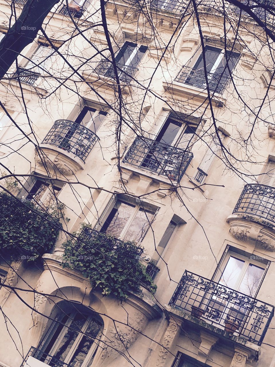 Paris architecture 