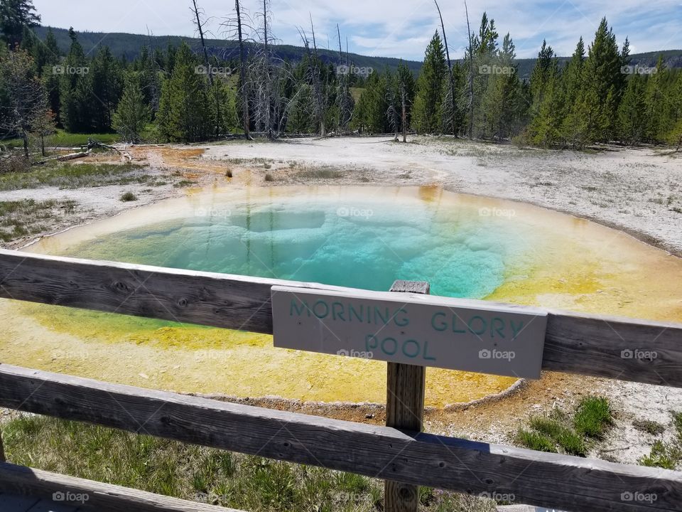 Yellowstone_Morning Glory Pool #2