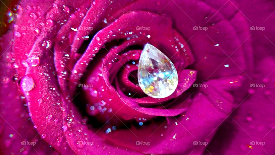 Small shinning zircon in violet rose