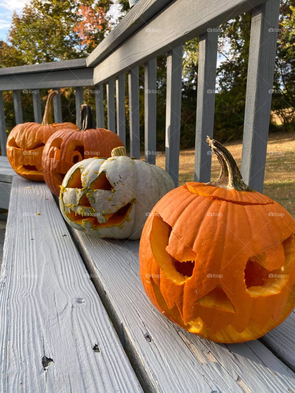 Pumpkins Are Out 🎃