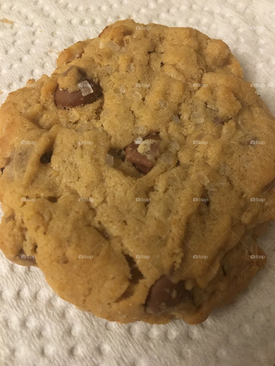 Chocolate chip cookie 