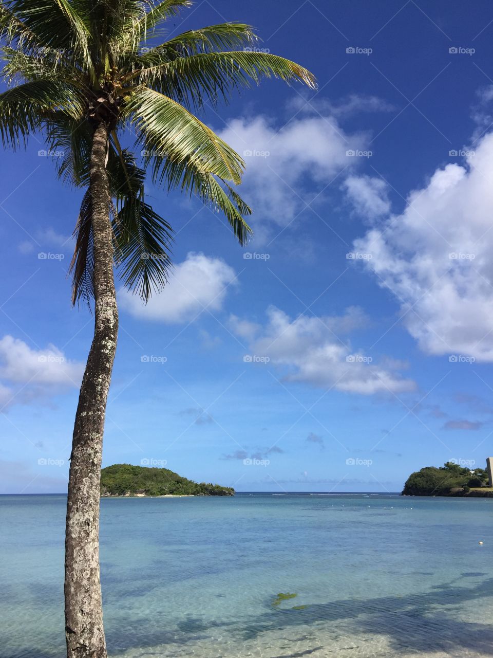 No Person, Tropical, Beach, Sand, Water