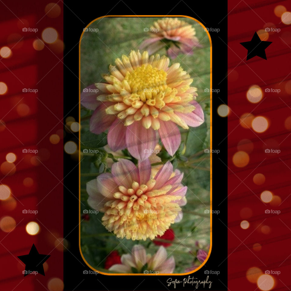 Application « PicsArt »