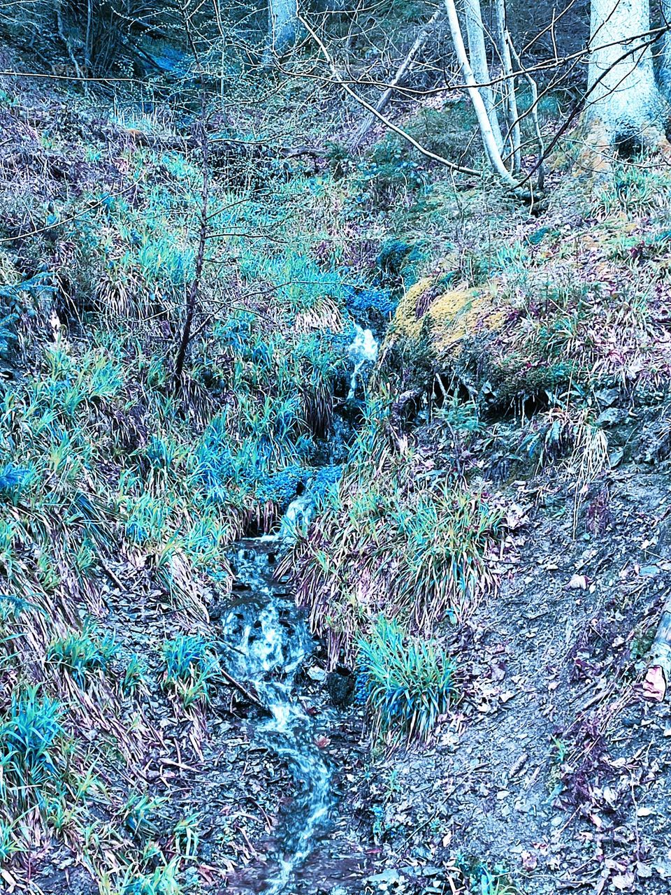 Walk in the woods, Bayehon waterfall
