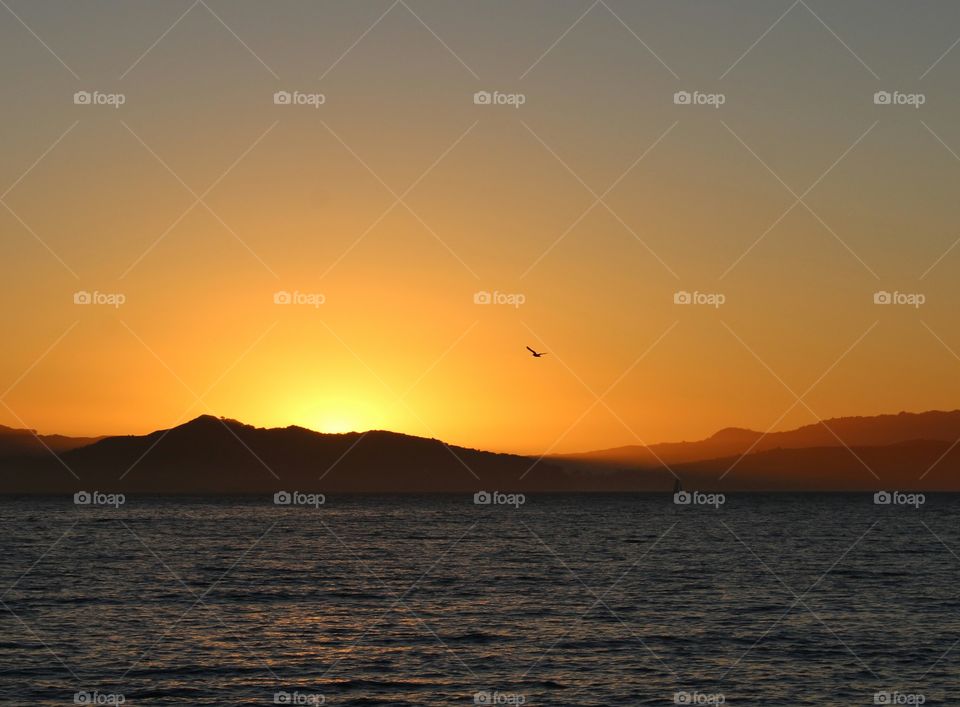 Sunset, Dawn, Water, Evening, Sun