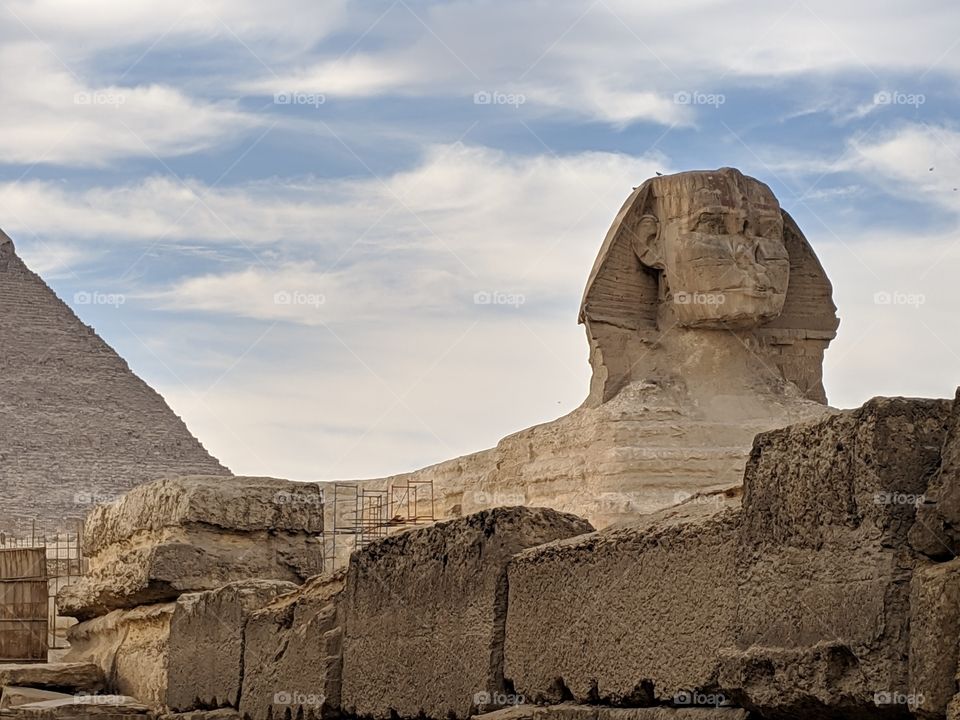 The Sphynx in Giza, Egypt