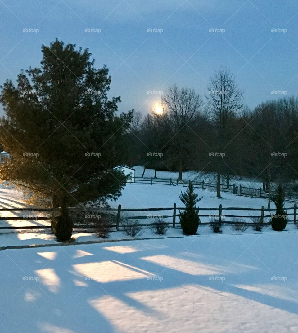 Snow Moon Rising 