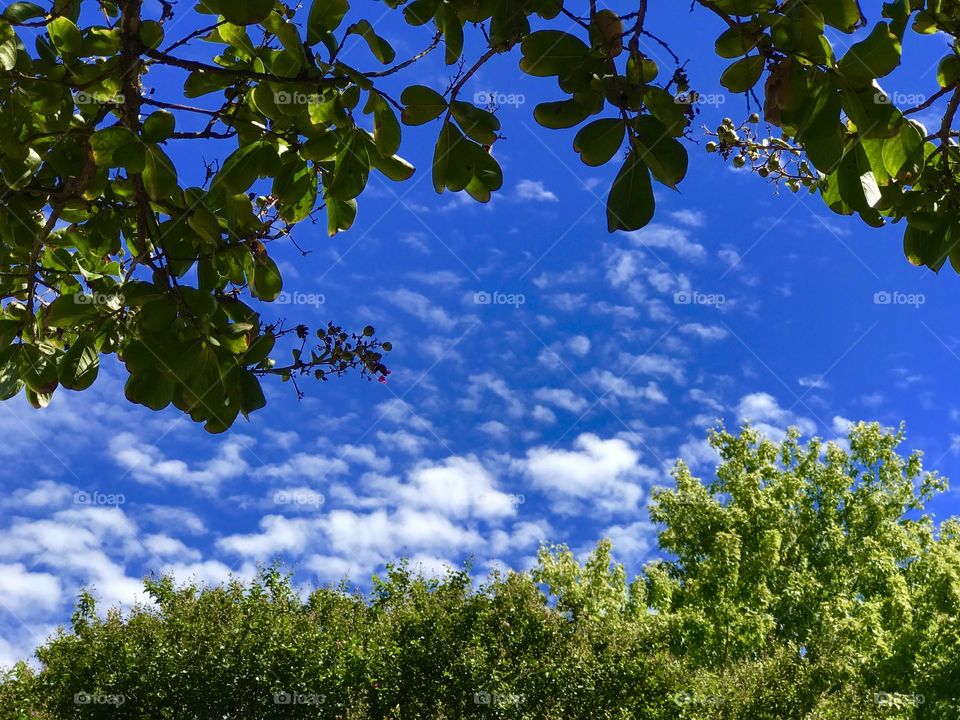 Clouds in the blue sky
