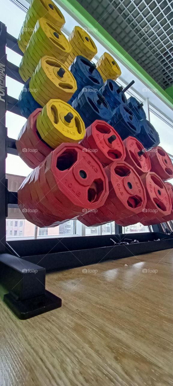 circle, sports equipment, disks, red, yellow, blue, fitness club, gym gym, window