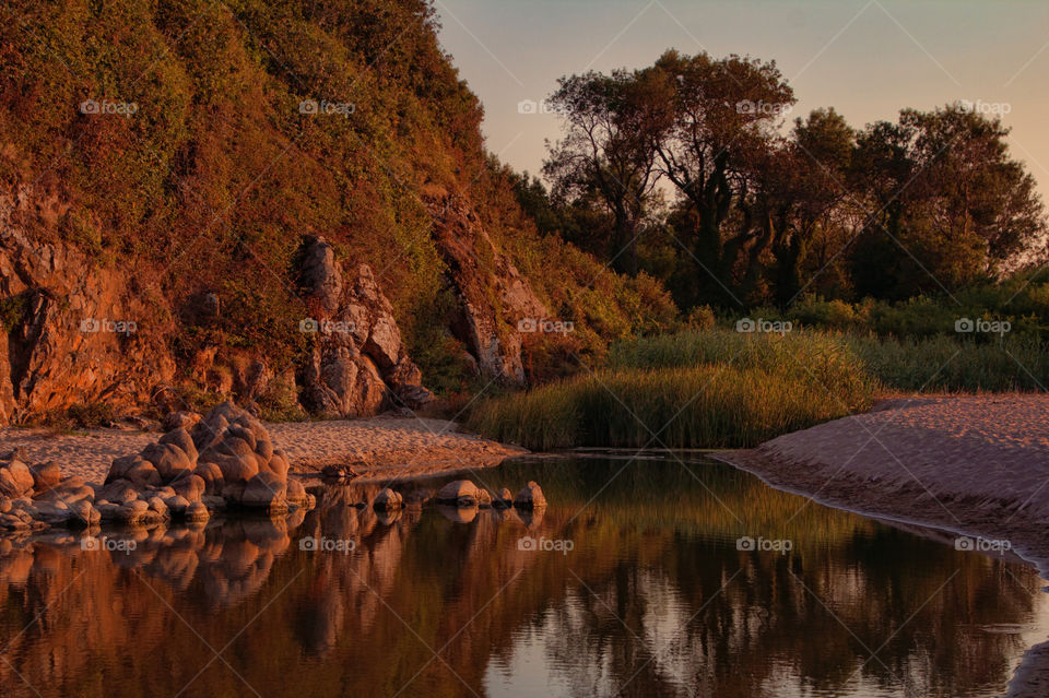 evening riparian landscape