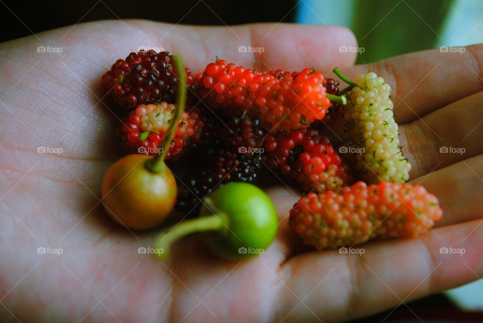 fruits!