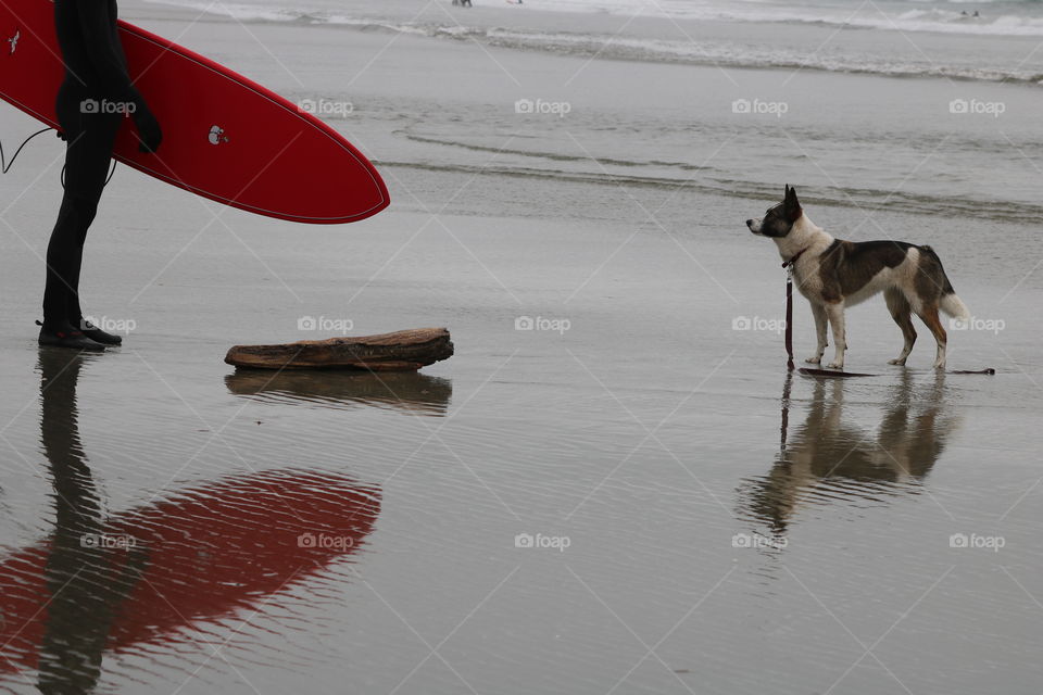 The surfer’s starting point