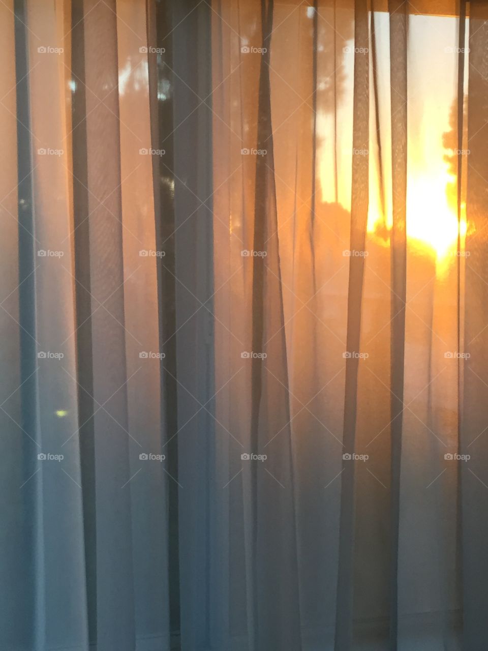 Sunset Through the Veil