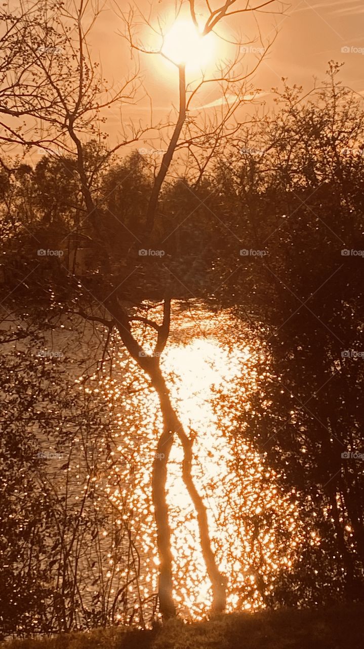 As the Evening sun start to descend the Evening Colors go show and Darkness starts to Showcase the Sunsetted Lake Waters. 