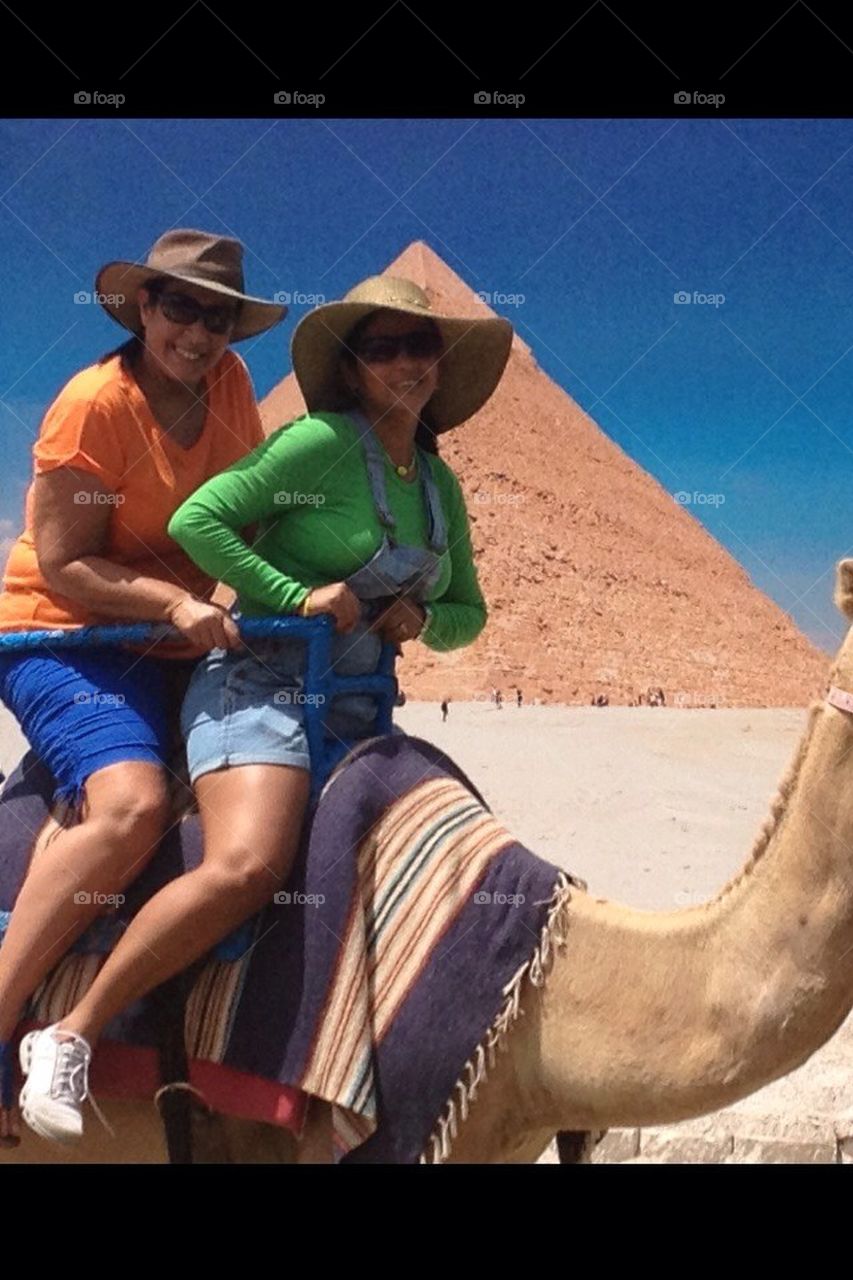 Riding the Camel