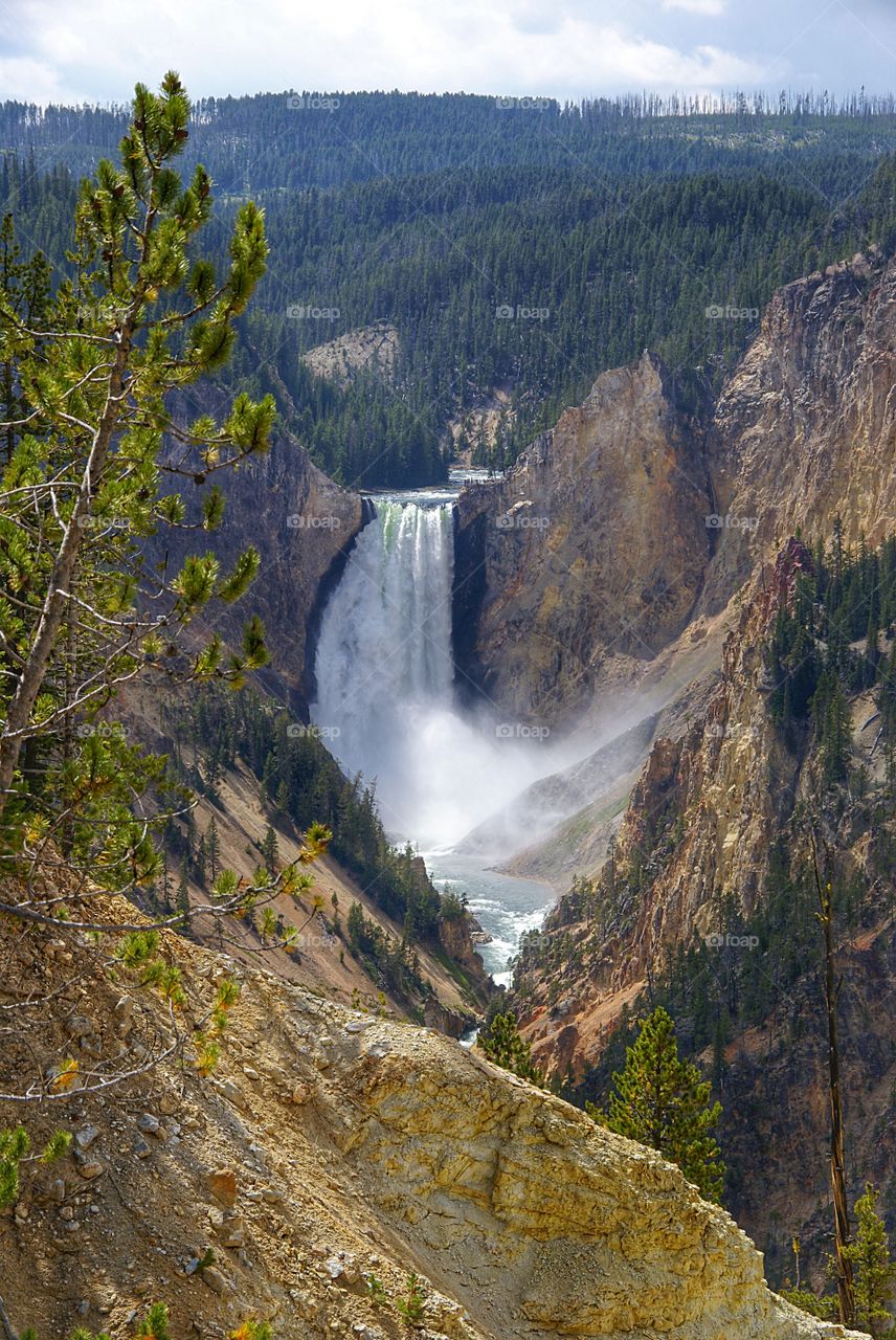 View of waterfall in forest