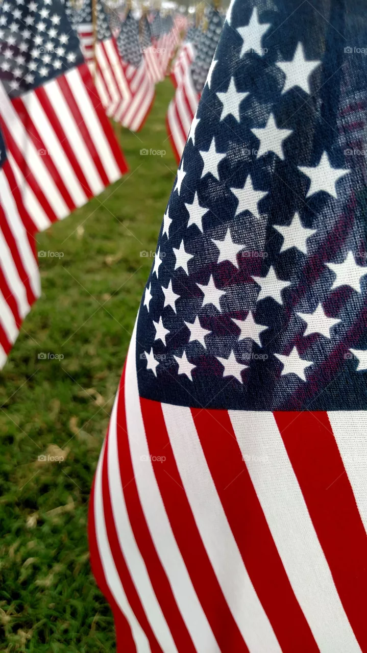 usa