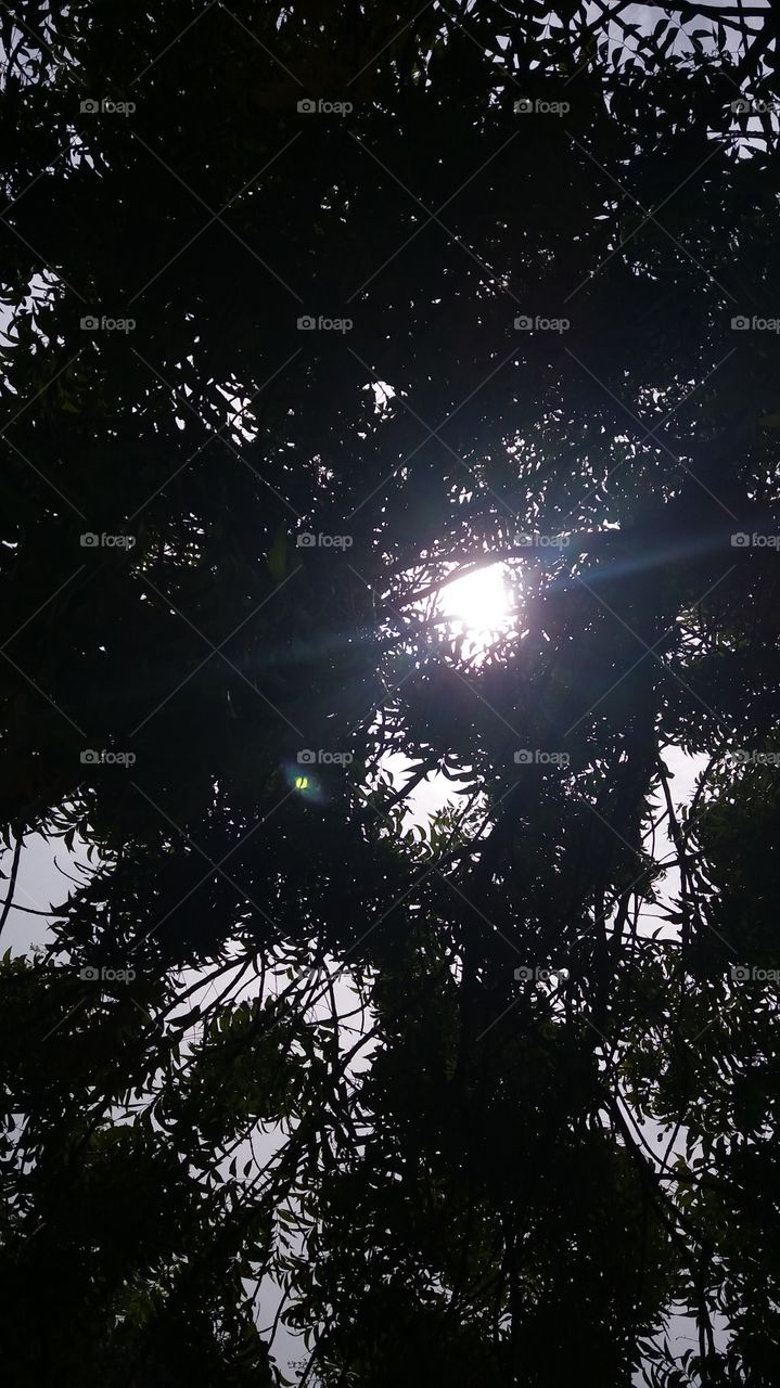 Vacay? Ready, Steady, go!