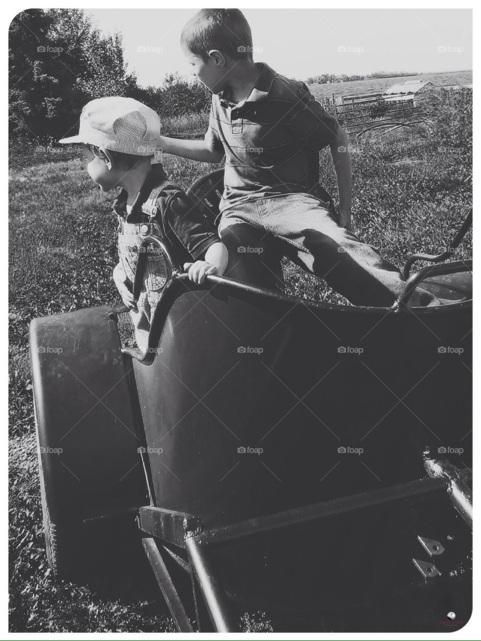 Farm kids in a horse cart 