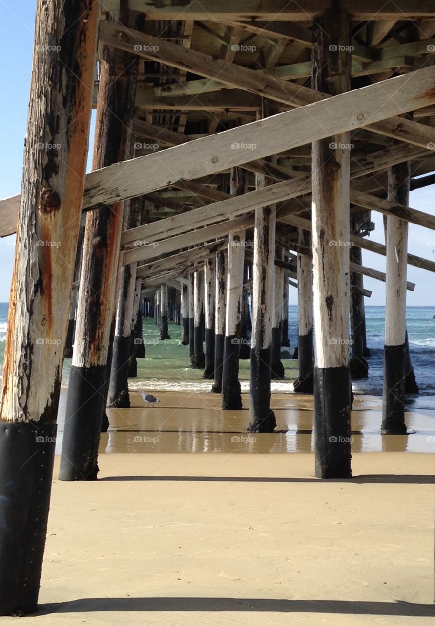 Under the Boardwalk.  Down by the sea
Newport Beach California pier