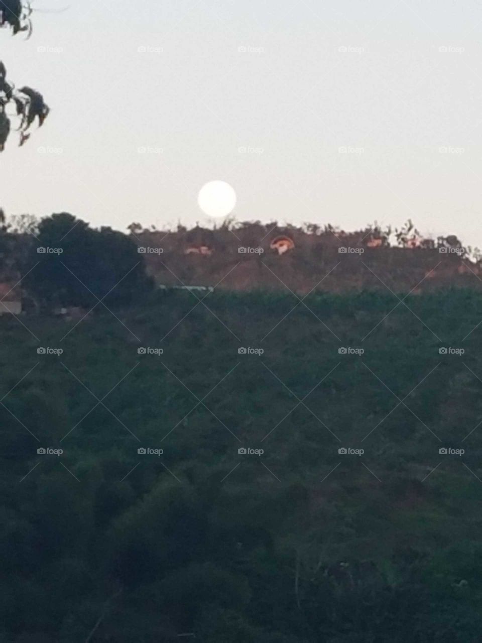 Landscape, No Person, Tree, Sky, Cropland