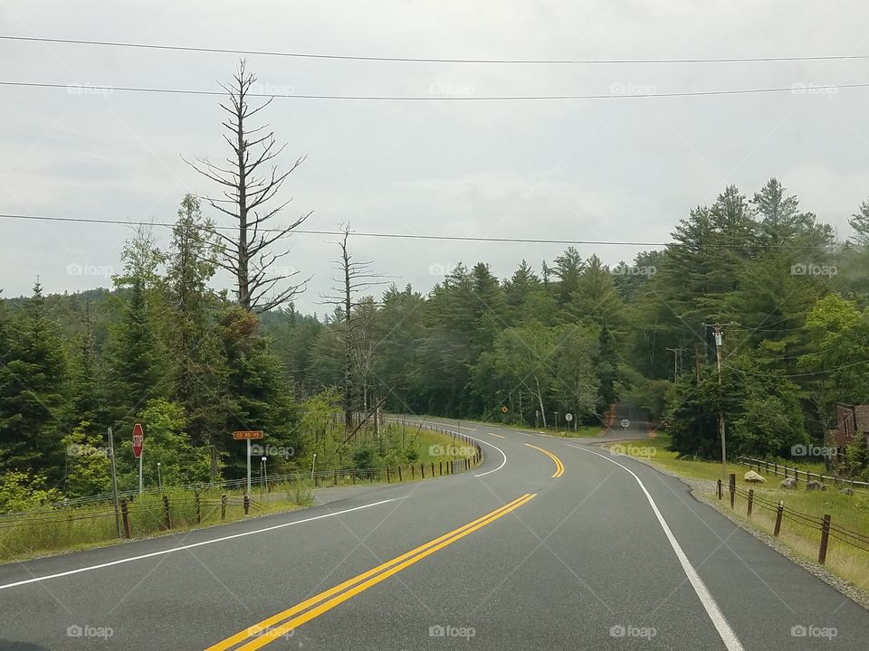 Road, Asphalt, Transportation System, Highway, Guidance