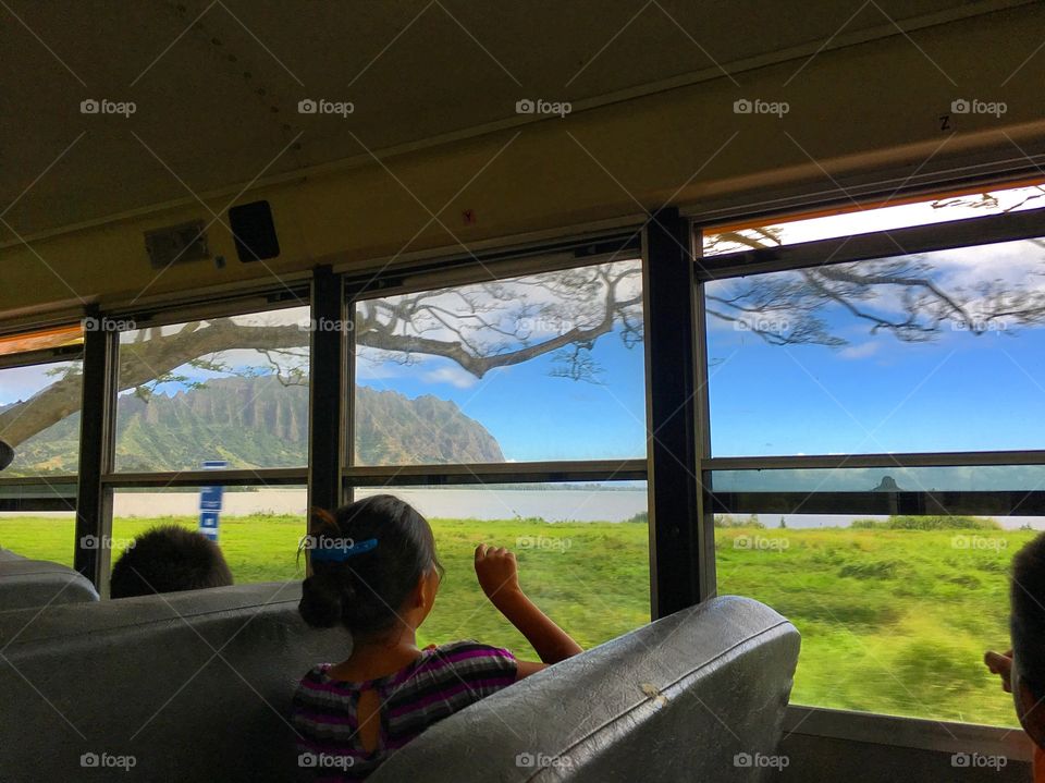 The School Field Trip