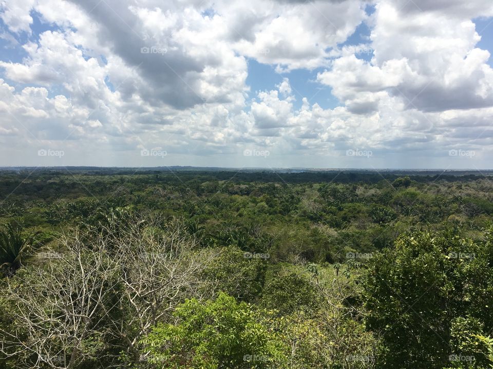 View from Lamanai Belize Mayan Temple