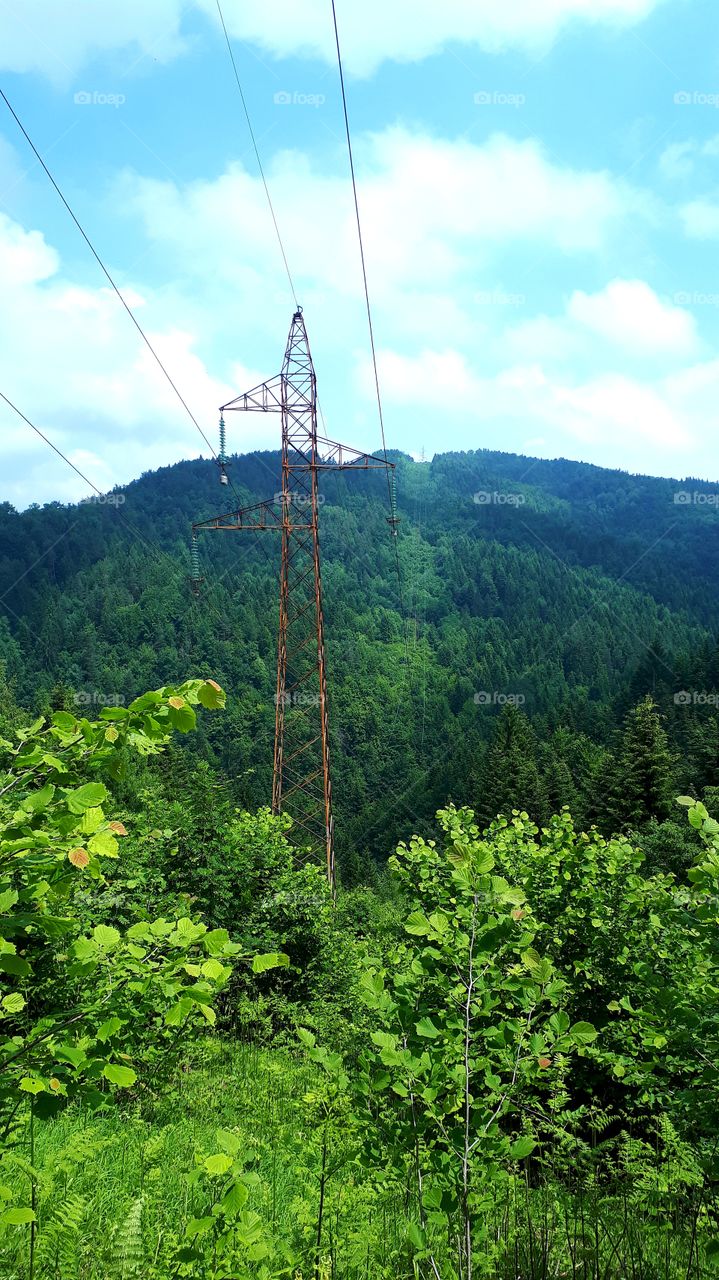A view of the woods and the power lines stretching across forests and hills