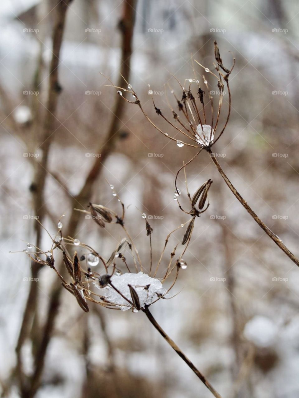 The last day of winter