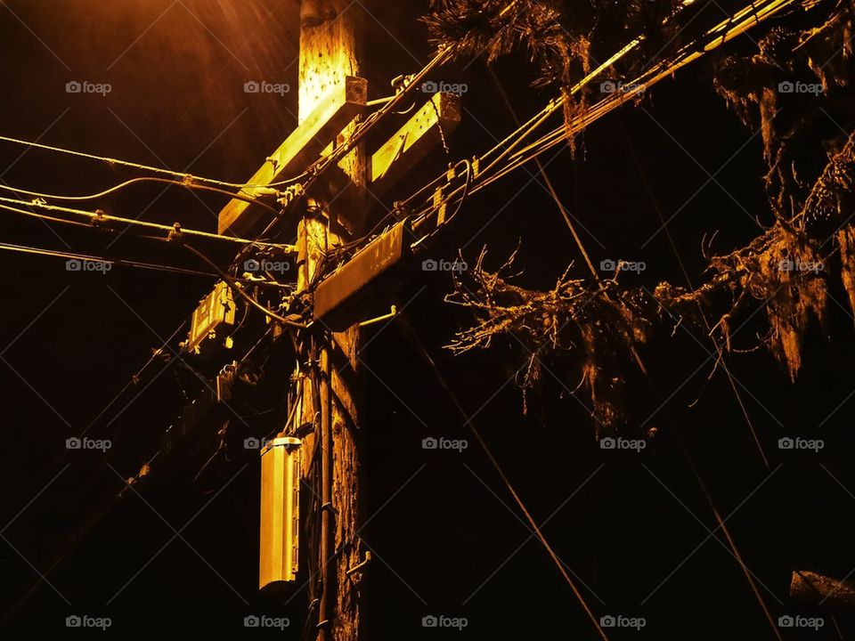 Electric utility pole