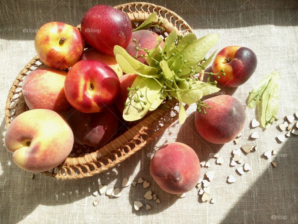 Fruit, Apple, No Person, Food, Pasture