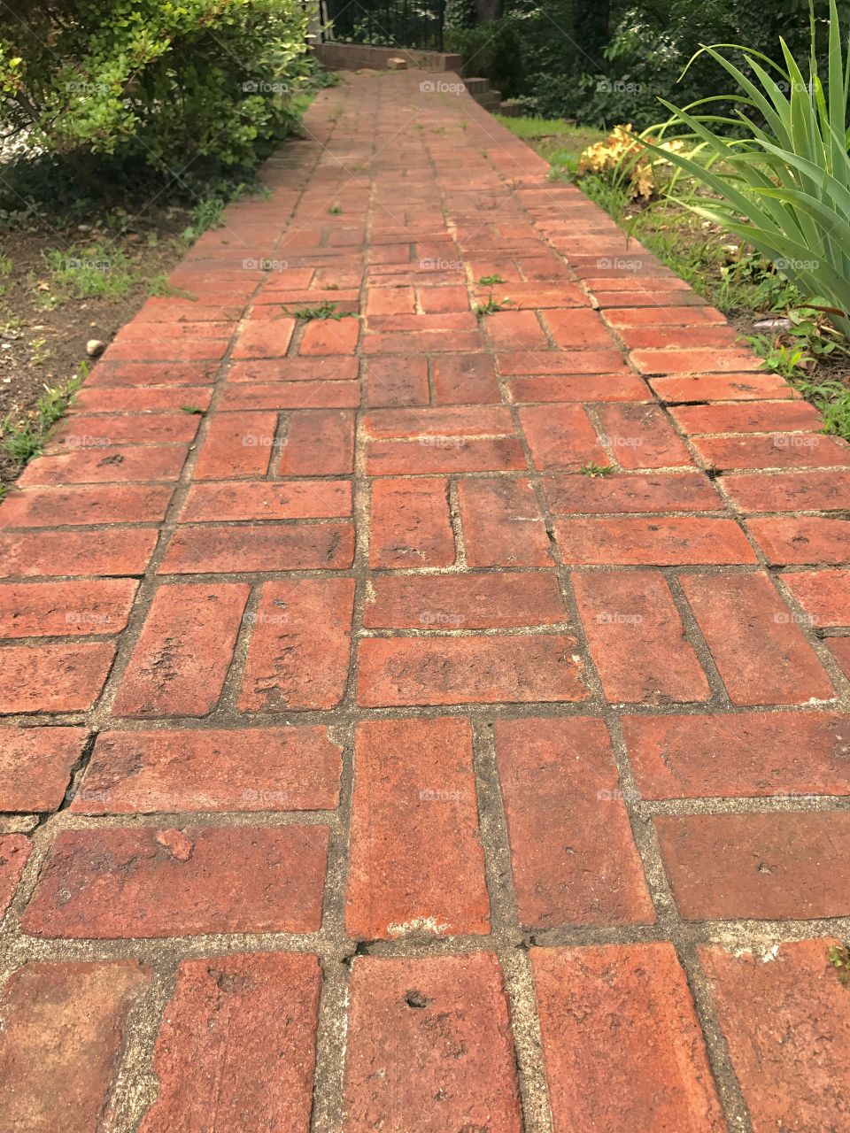 Orange Brick Walkway